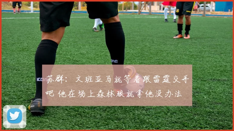苏群:文班亚马就等着跟雷霆交手吧 他在场上森林狼就拿他没办法
